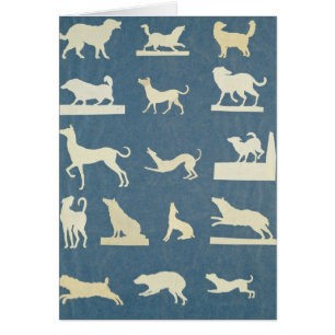 Studie der Hunde