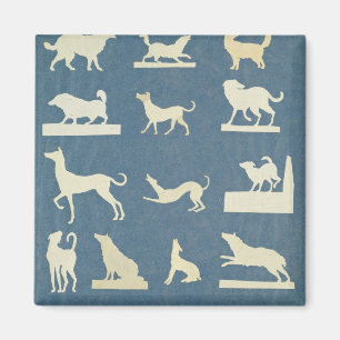 Studie der Hunde Magnet