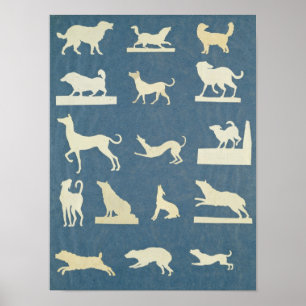 Studie der Hunde Poster