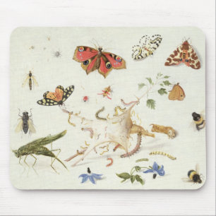 Studie der Insekten und der Blumen Mousepad