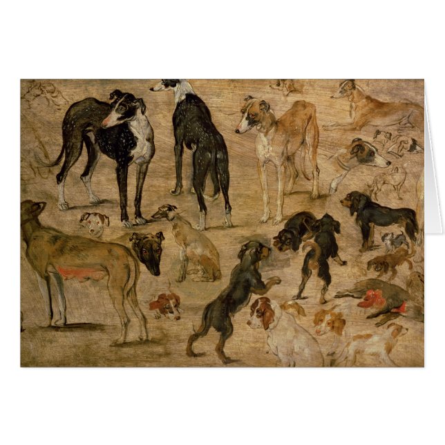 Studie der Jagdhunde, 1616 (Vorderseite (Horizontal))