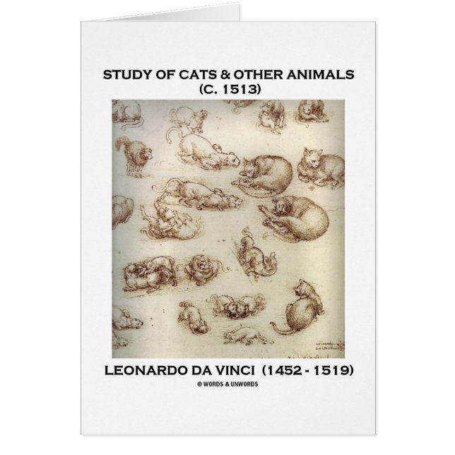 Studie der Katzen u. anderer Tiere (Leonardo da (Vorne)