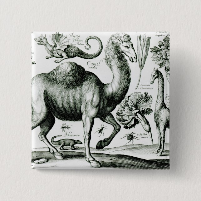 Studie der Tiere und der Blumen, graviert Button (Vorderseite)
