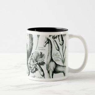 Studie der Tiere und der Blumen, graviert Zweifarbige Tasse