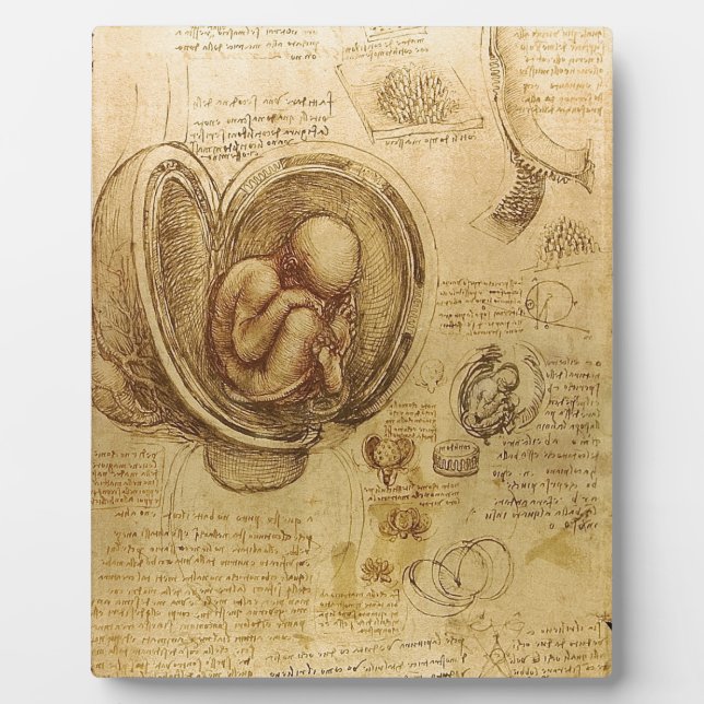 Studie des Babyfötus von Leonardo da Vinci Fotoplatte (Vorderseite)
