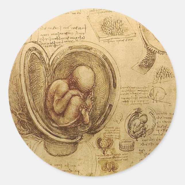 Studie des Babyfötus von Leonardo da Vinci Runder Aufkleber (Vorderseite)