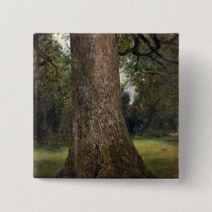 Studie des Stammes eines Ulmen-Baums, c.1821 (Öl Button