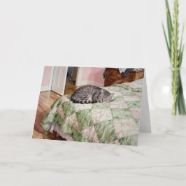 Studie einer grauen getigerten Katze D in Aquarell Karte