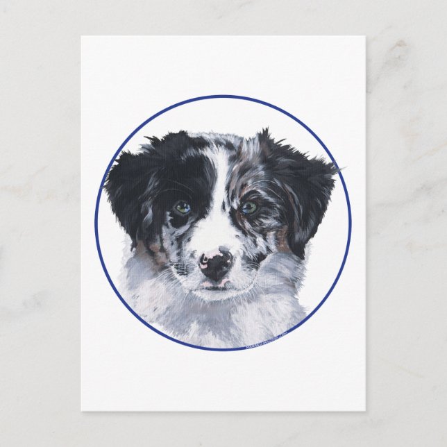 Studie eines Border Collie-Kopfes Postkarte (Vorderseite)