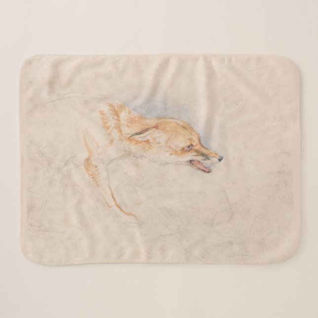 Studie eines Crouching Fox (von John Frederick Lew Sherpadecke (Vorderseite (Horizontal))