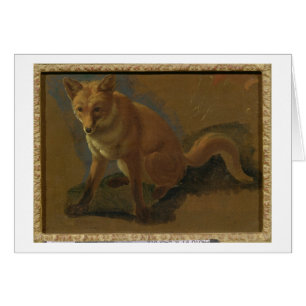 Studie eines Fox (Öl auf Platte)