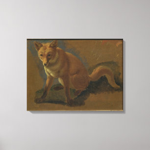Studie eines Fox (Öl auf Platte) Leinwanddruck