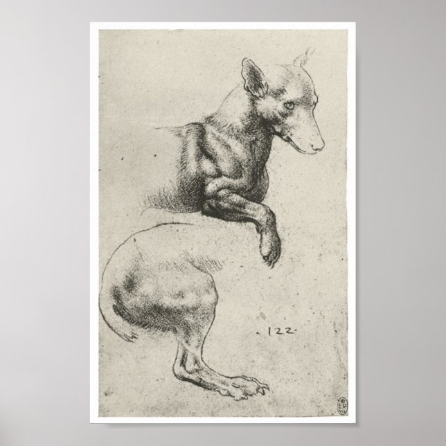 Studie eines Hundes, Leonardo Da Vinci Poster (Vorne)