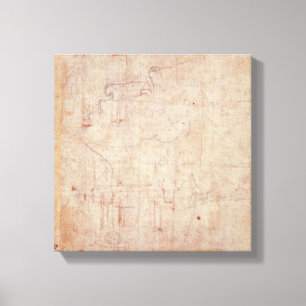 Studie eines Kopfes, 1525-26 Leinwanddruck