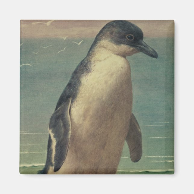 Studie eines Pinguins Magnet (Vorne)