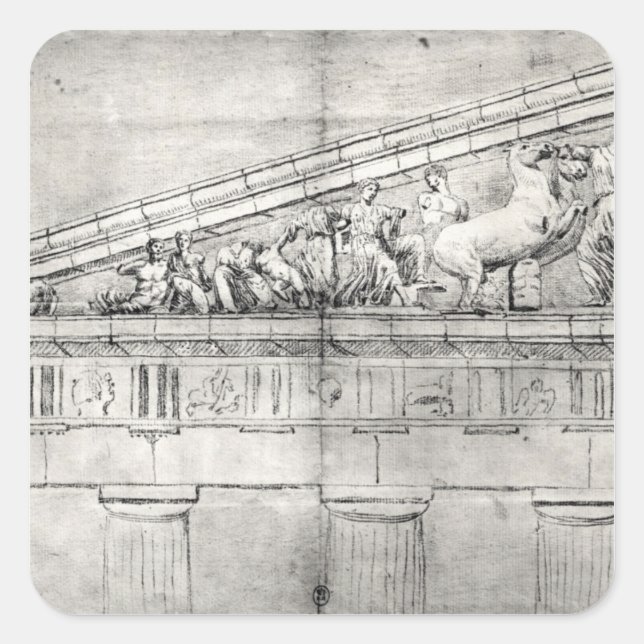 Studie eines Stammbaums des Parthenon Quadratischer Aufkleber (Vorderseite)