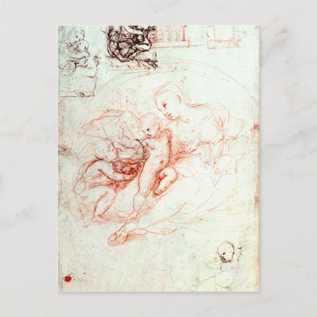 Studie für die Alba Madonna, c.1508-09 Postkarte (Vorderseite)