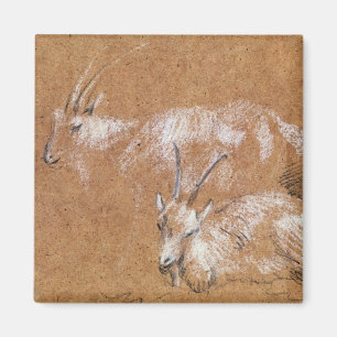 Studie Thomas Gainsborough der Ziegen (Zeichnen) Magnet