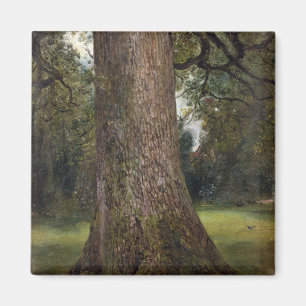 Studie über den Stamm eines Elm Tree, c.1821 (Öl a Magnet