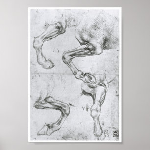 Studie über die Lege eines Pferdes, Leonardo Da Vi Poster