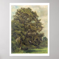 Studie über eine Asche Tree, c.1851 (Öl auf Papier