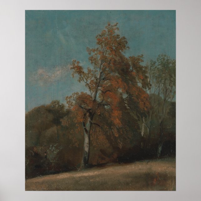 Studie über einen Ash Tree - John Constable Poster (Vorne)