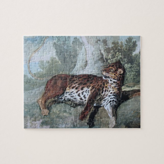 Studie über einen Leopard (von Jean-Baptiste Oudry (Horizontal)