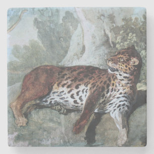 Studie über einen Leopard (von Jean-Baptiste Oudry Steinuntersetzer
