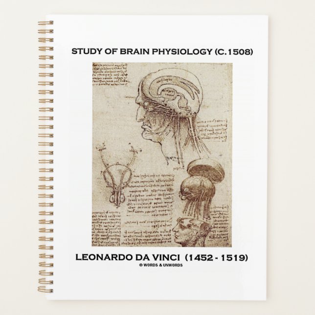 Studie über Gehirnphysiologie (c. 1508) da Vinci Planer (Vorderseite)