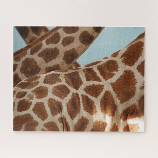 Studie über Giraffen in Motion Jigsaw Puzzle (Horizontal)