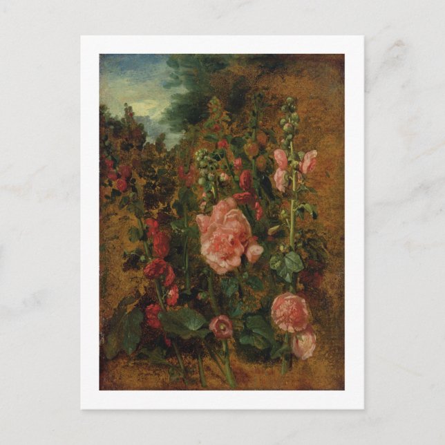 Studie über Hollyhocks, c.1826 (Öl an Bord) Postkarte (Vorderseite)