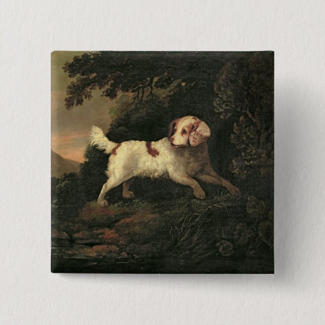 Studie von Clumber Spaniel Button (Vorderseite)