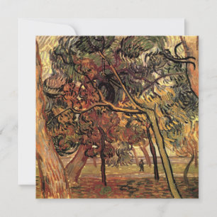 Studie von Kiefern von Vincent van Gogh