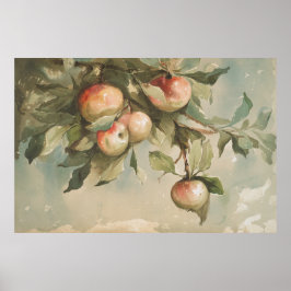 Studie zur Vintagen Aquarellmalerei bei Äpfeln Poster