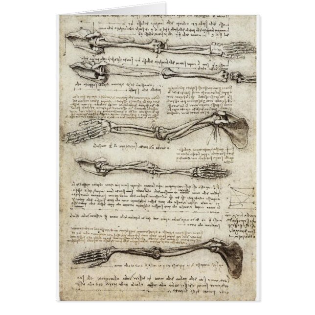 Studien des Armes durch Leonardo da Vinci C. 1510 (Vorne)