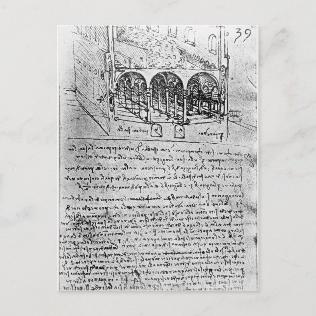 Studien für Ställe Postkarte (Vorderseite)