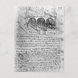 Studien für Ställe Postkarte