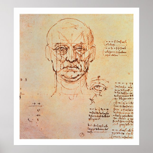 Studien über den Anteil von Gesicht und Auge, 14 Poster (Vorne)