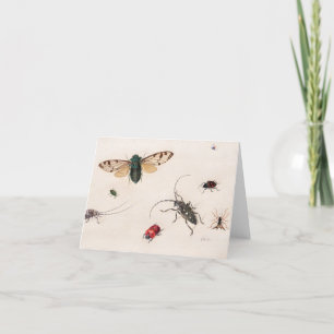 Studien über Insekten durch Johannes Bronckhorst Dankeskarte