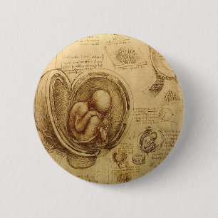 Studien von Embryonen Button