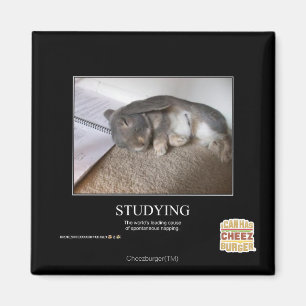 Studieren Magnet