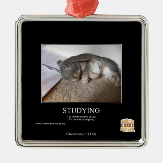 Studieren Silbernes Ornament (Vorne)