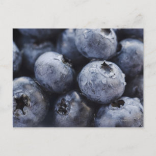 Studio-Aufnahme von Blaubeeren 3 Postkarte