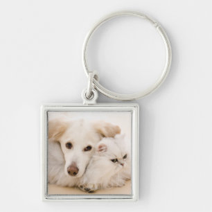 Studio geschossen von der Katze und vom Hund Schlüsselanhänger