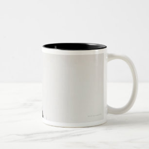 Studio geschossen von der Schwarzweiss-Katze in Zweifarbige Tasse