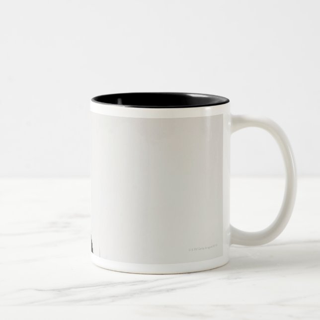 Studio geschossen von der Schwarzweiss-Katze in Zweifarbige Tasse (Rechts)