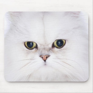 Studio geschossen von der weißen persischen Katze Mousepad