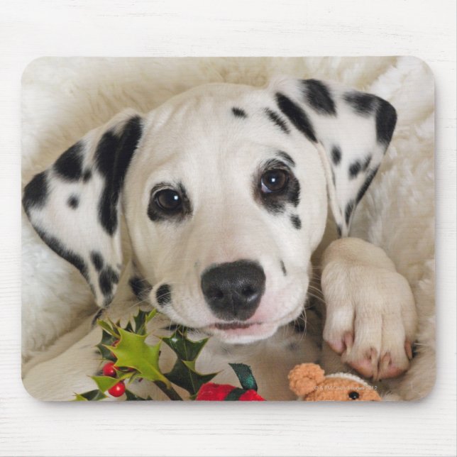 Studio Mousepad (Vorne)