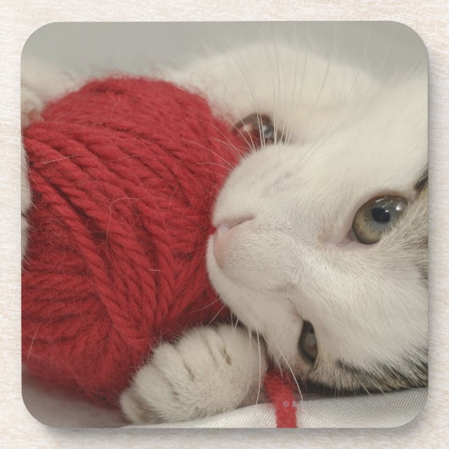 Studioschuß Getränkeuntersetzer (Vorderseite)