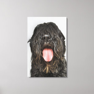 Studioschuß Leinwanddruck